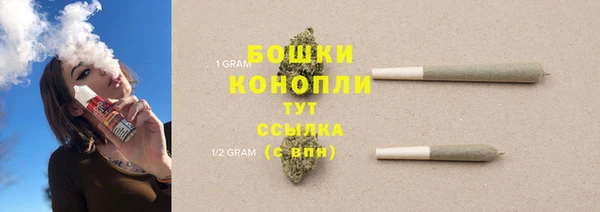 эйфоретик Гусев
