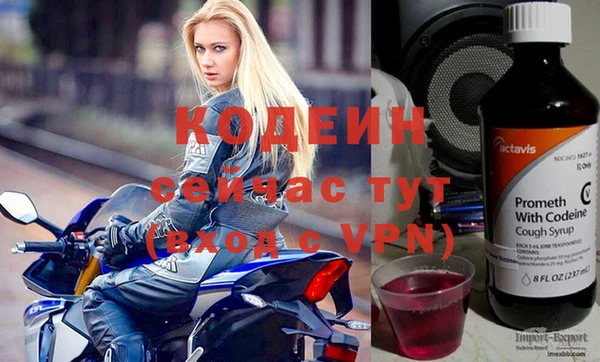 эйфоретик Гусев