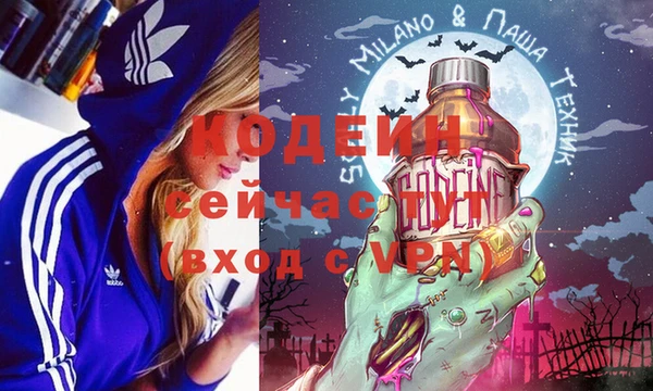 мяу мяу кристалл Гусь-Хрустальный