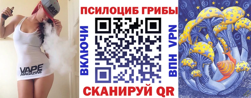 Купить закладки  Моршанск  Галлюциногенные грибы MAGIC MUSHROOMS 